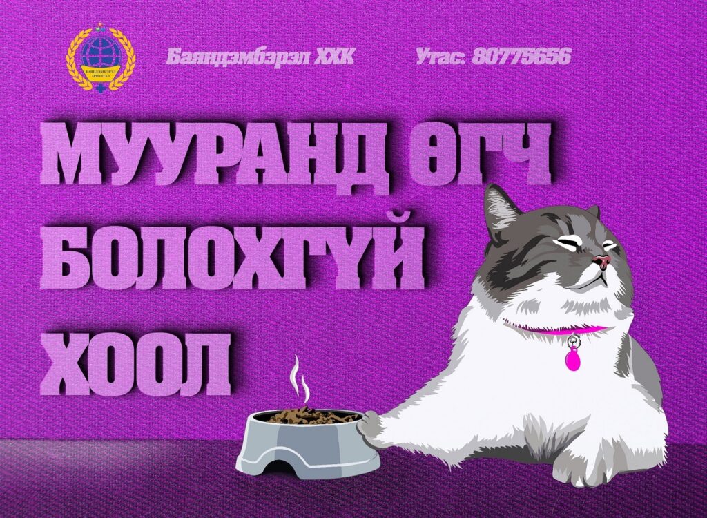 social media poster cat
