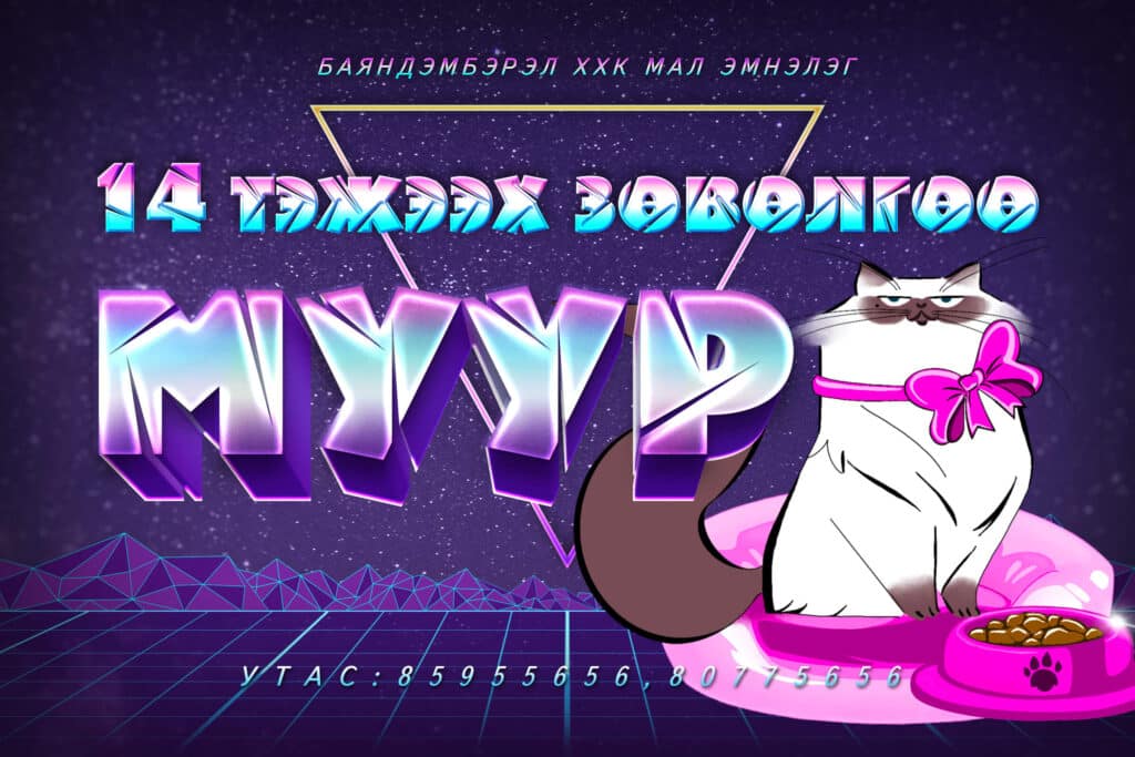 social media poster cat 2