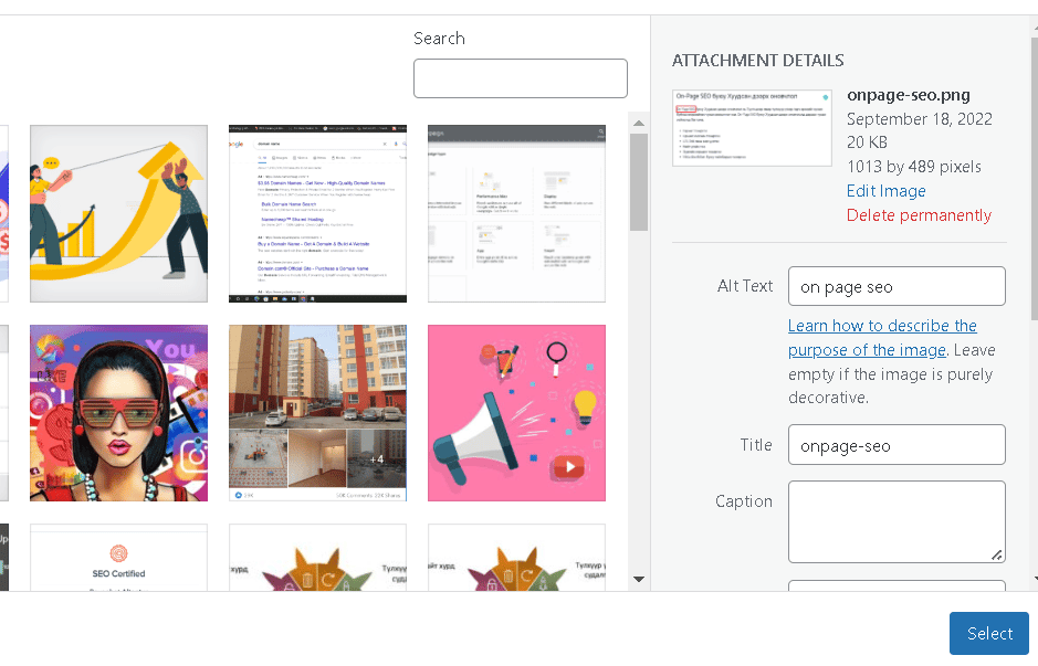 onpage seo alt text