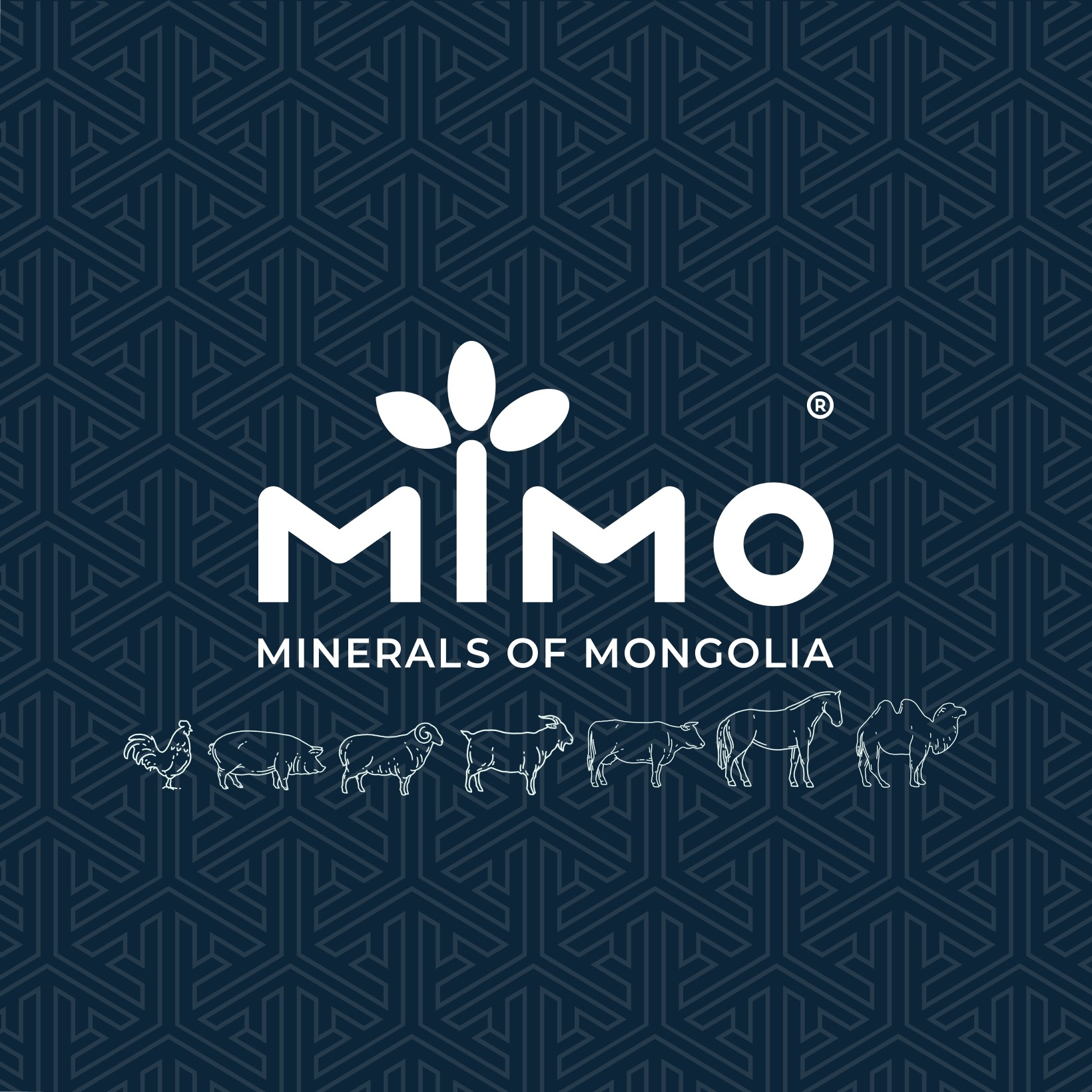 mimo logo